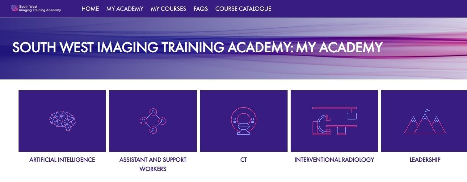 Screenshot of online learning platform